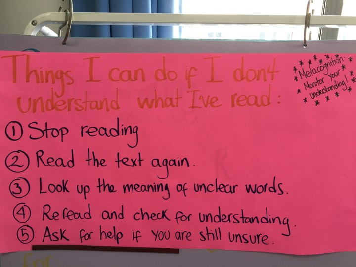 What should we do when we don't understand what we are reading?